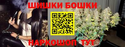 a pvp Обь