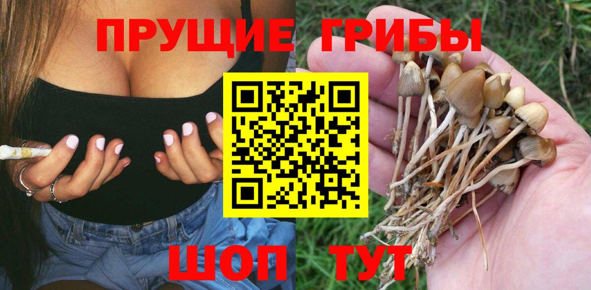 Псилоцибиновые грибы GOLDEN TEACHER Тихвин