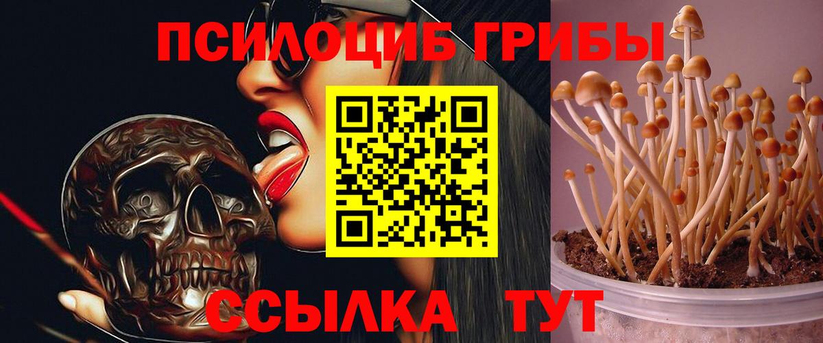 Псилоцибиновые грибы прущие грибы  Галлюциногенные грибы Psilocybine cubensis  Вход с VPN  Тихвин 